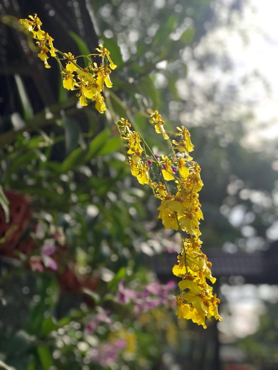 Nhà khách Thanh Thuy *